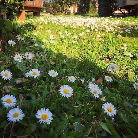 Village Tuscia Tirrenica Kompleks wypoczynkowy Tarquinia